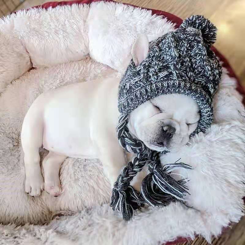 Meravo™ Cozy Pom-Pom Pet Beanie