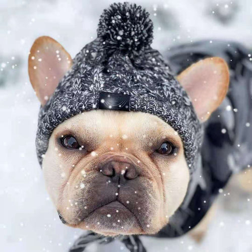 Meravo™ Cozy Pom-Pom Pet Beanie