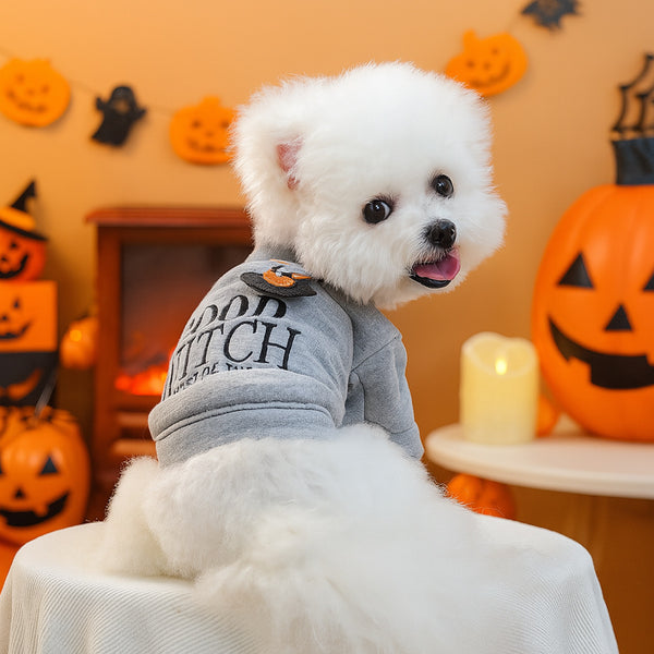 Meravo™ Good Witch Halloween Dog Sweater