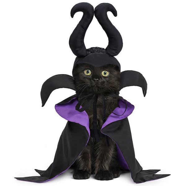 Meravo™ Midnight Witch Cape