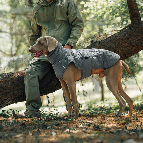 Meravo™ Alpine Warmth Dog Vest