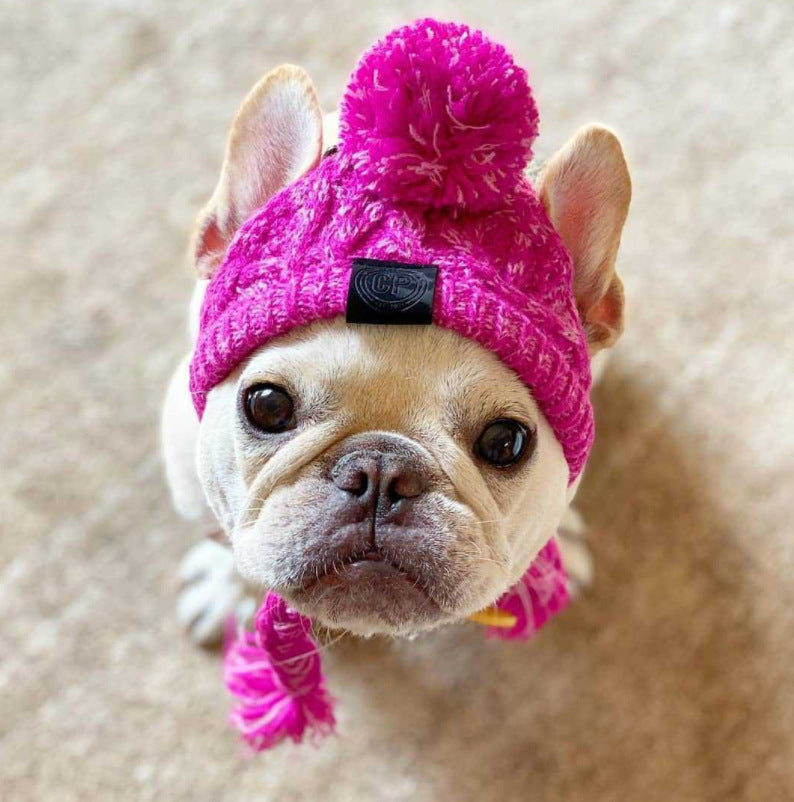 Meravo™ Cozy Pom-Pom Pet Beanie