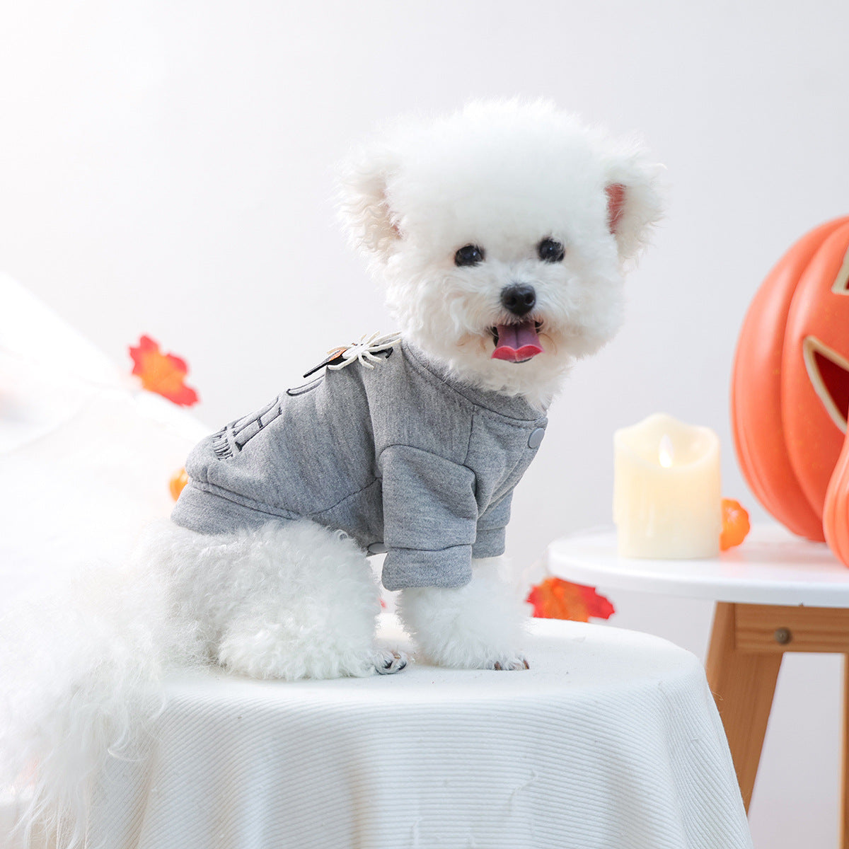 Meravo™ Good Witch Halloween Dog Sweater
