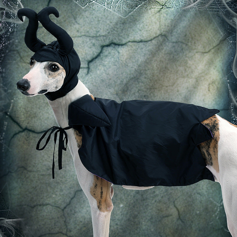 Meravo™ Midnight Witch Cape