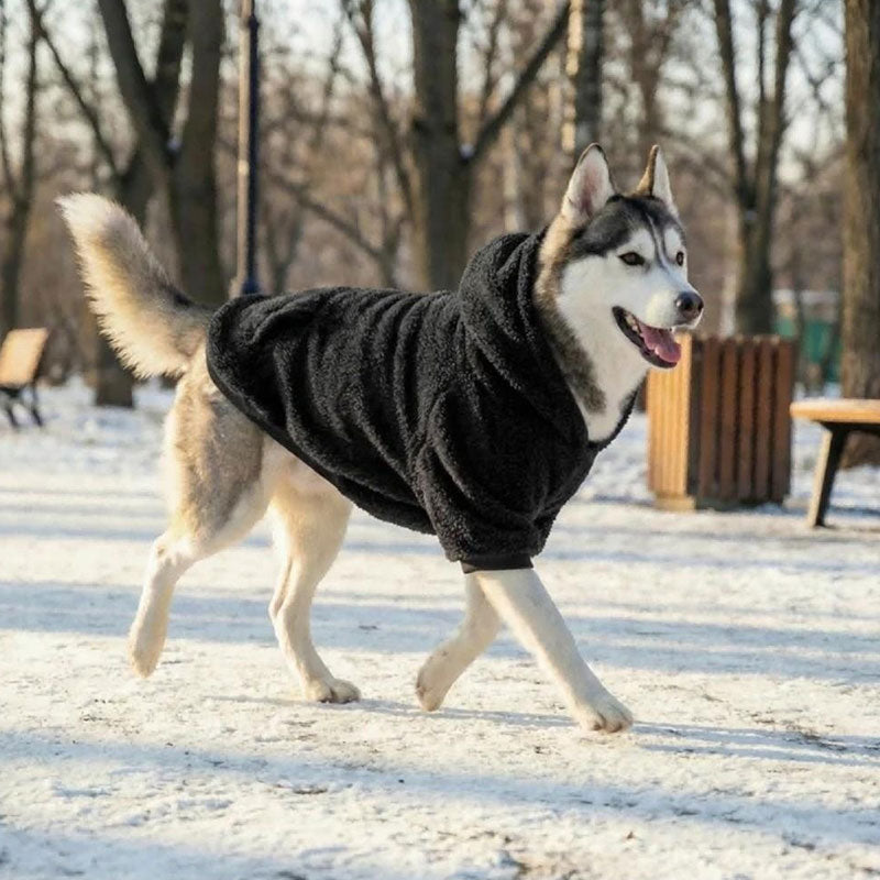 Meravo™ Winter Comfort Dog Hoodie