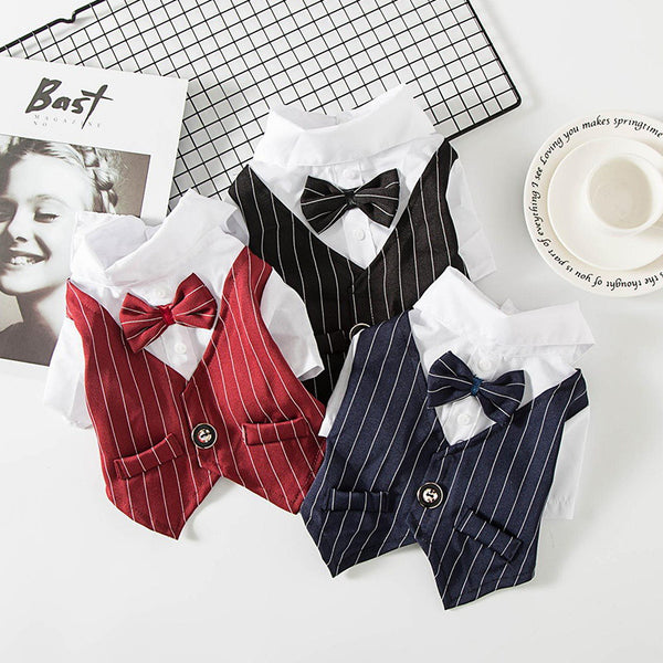 Meravo™ Gentleman Dog Suit